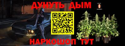 гидра Старая Купавна