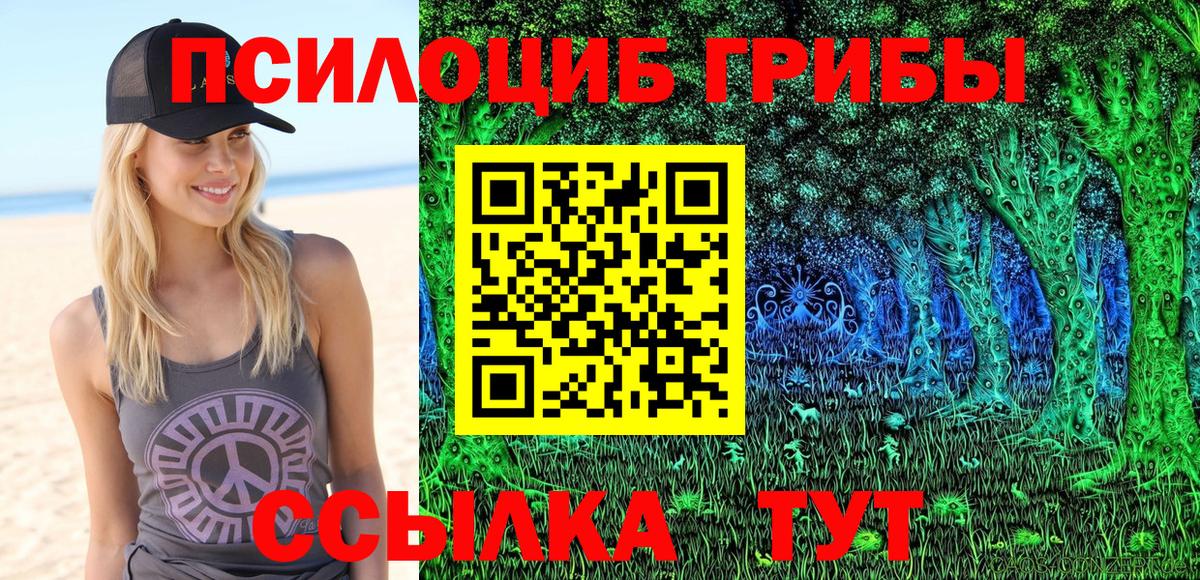 Псилоцибиновые грибы Psilocybe  Вход с VPN  Приморско-Ахтарск  Псилоцибиновые грибы GOLDEN TEACHER 