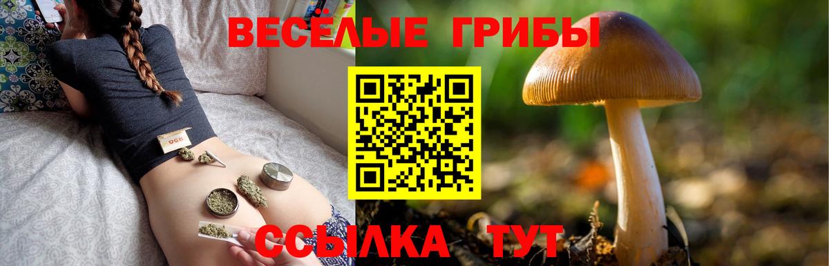 Галлюциногенные грибы Psilocybine cubensis Приморско-Ахтарск